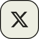 X / Twitter